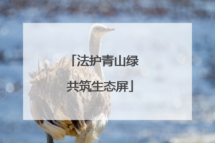 法护青山绿 共筑生态屏